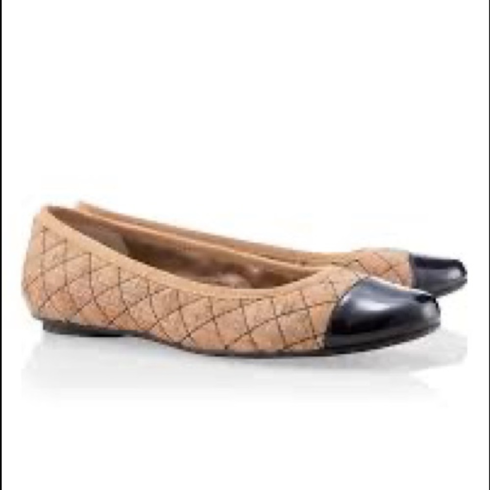 Chico's Sable Ballet Flats